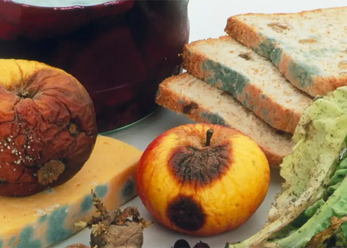 上海浦東過期食品銷毀 上海浦東過期食品銷毀